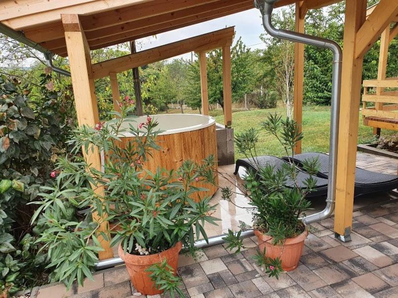 Borkuti Panzio Es Apartman Balatonszemes Luaran gambar
